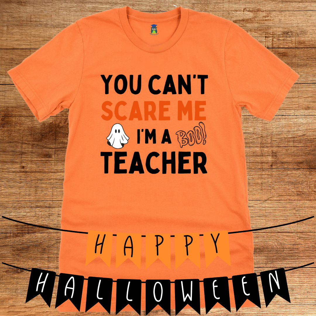 You Can't Scare Me I'm a Teacher T-Shirt - teachngear