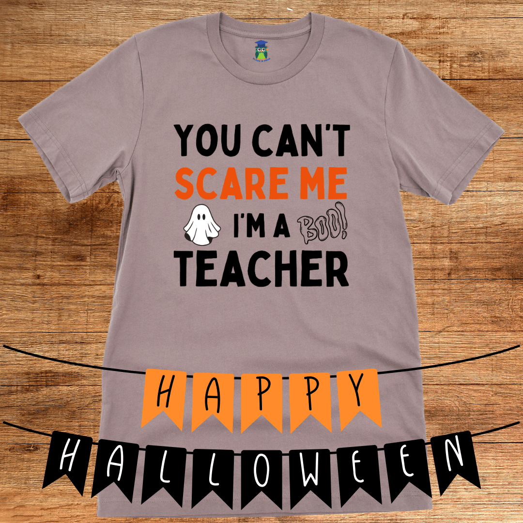 You Can't Scare Me I'm a Teacher T-Shirt - teachngear